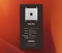 送料無料 Apple Mac Pro 2019 デスクトップ PC Xeon 16コア 192GB SSD1TB Radeon Pro W5700X_画像10