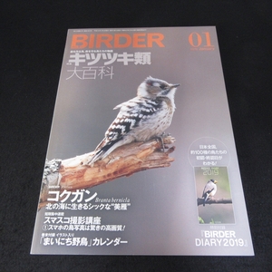 雑誌 『BIRDER (バーダー) 2019年1月号』 ■送120円 特集：キツツキ類 大百科　★付録のダイアリ欠品○