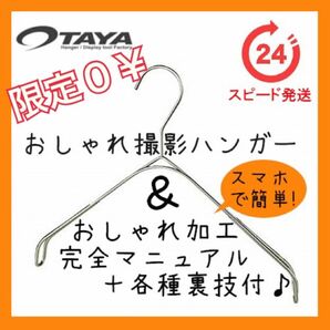 【期間限定実質0￥】なで肩ハンガー TAYA タヤおしゃれハンガー滑り止め付き