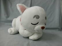 銀魂　スーパーDX　ぬいぐるみ　SADAHARU　定春　ねそべり　昼寝　白　バンプレスト　アミューズメント専用景品　坂田銀時　神楽　志村新八_画像2