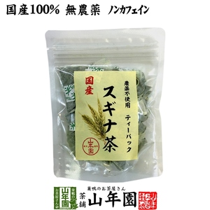 健康茶 国産100% スギナ茶 ティーパック 1.5g×20パック 無農薬 ノンカフェイン 宮崎県産 送料無料