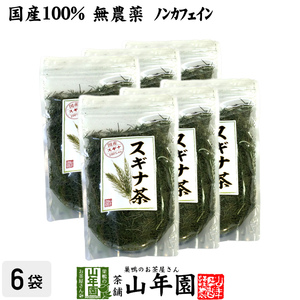 健康茶 国産100% スギナ茶 70g×6袋セット 無農薬 ノンカフェイン 宮崎県産 送料無料