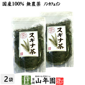 健康茶 国産100% スギナ茶 70g×2袋セット 無農薬 ノンカフェイン 宮崎県産 送料無料