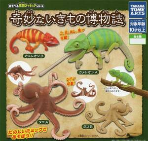 ♯　(台紙のみ)　あそべる生物フィギュアシリーズ　奇妙ないきもの博物誌　(台紙/POP)　非売品