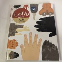 Y31-108 しぜん つめ 12 キンダーブック 第30集 第9集12月号 2001年発行 フレーベル館 増井光子 カナヨ・スギヤマ_画像1