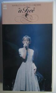 [VHS] Yuki Nae First * concert [ forest. hour ]*a Tree" / free shipping 1993 Aichi thickness raw year gold . pavilion videotape 