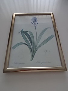 アートフレーム§A4額(選択可)写真ポスター付§アンティーク風・水色の花・青・植物・ボタニカル・ルドゥーテ?・植物