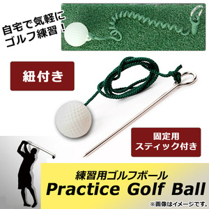 AP 練習用ゴルフボール 紐付き 固定用スティック付き 楽しくゴルフ練習♪ AP-TH459