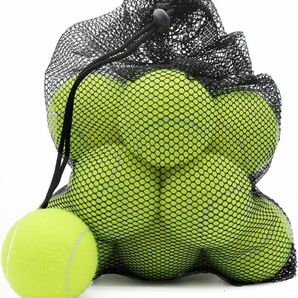 テニスボール 12個パック 練習用ボール ペット犬用プレイングボール