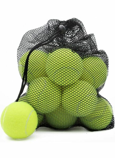 テニスボール 12個パック 練習用ボール ペット犬用プレイングボール
