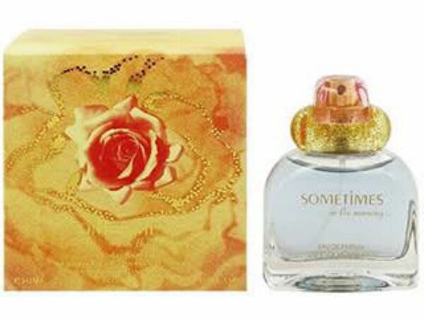 SOMETIMES EAU DE PARFUM HUBERT DE MONTANDON　香水