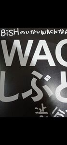 新品未読　タワレコ限定特典　WACKしぶとい本 BiSH 写真集