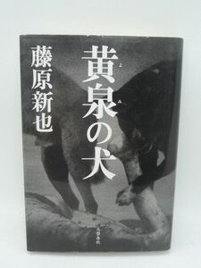 黄泉の犬 ★ 藤原新也 ◆ インド・チベットを放浪した著者が独自の宗教観を展開 インド紀行 メメント・モリの感動を再び甦らせる 青春の旅