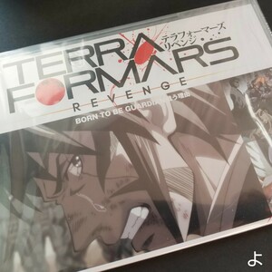 テラフォーマーズ DVD アニメ anime TERRA FORMARS