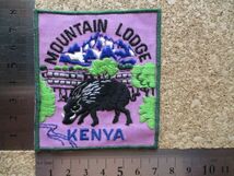 80s ケニア共和国イボイノシシKENYAマウンテン ロッジMOUNTAIN LODGEワッペン/東アフリカcheetahセレナ山スーベニア動物ケニヤPATCH土産D11_画像8