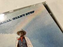 CD Giant Step. Taj Mahal タジ・マハール blues_画像2