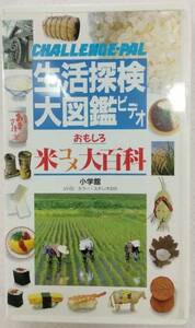 VHS 生活探検大図鑑ビデオ おもしろ米コメ大百科 小学館 カラー・ステレオ30分