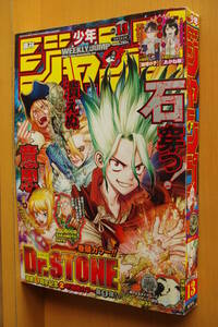 週刊少年ジャンプ 2022年3/14号 Dr.STONE ドクターストーン/地下すい 死神に願う no.13