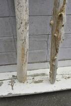 SEASIDEinterior☆長め流木2本セット,Cool driftwood for decorating 124_画像7