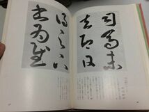 ●K072●現代書道全集●3●草書●講談社●昭和42年●書道手本学び方書道学習法参考作品書道講話千字文十七帖玉泉帖●即決_画像7