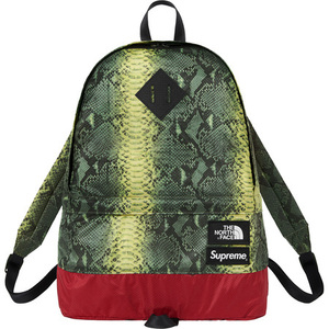 Supreme × The North Face 18SS Snakeskin Lightweight Day Pack Green オンライン購入 半タグ付 緑 バックパック デイパック リュック