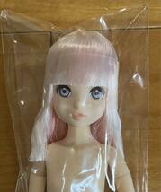 ruruko 人形　petworks CCS girl 23 干支　卯　新品_画像1