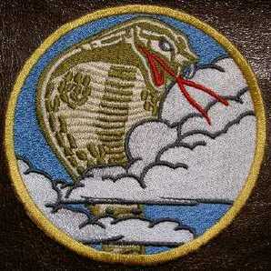 U.S.AIR FORCES　FLYING COBRA　39TS(19４０～50年代）