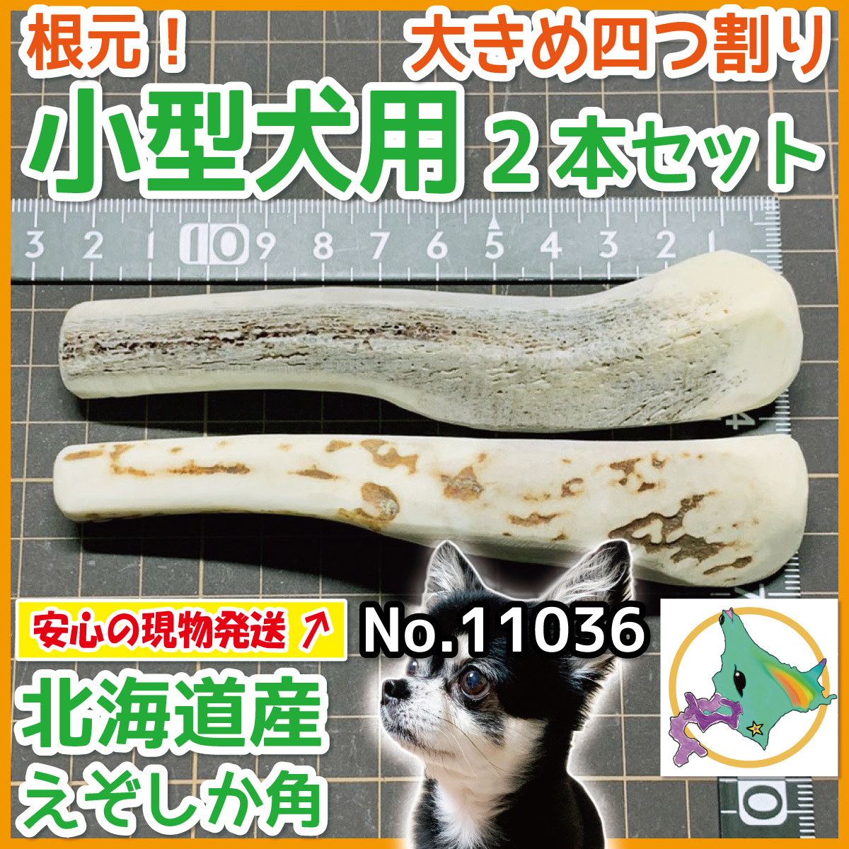 現物発送 中型犬用 根元 4半割り 2本セット 天然 北海道産 蝦夷鹿の角