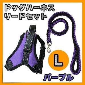 大好評！！ハーネス＆リード セット　紫　 L 大型犬　ドックウェア ゴールデン