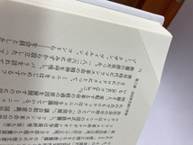 フランス革命という鏡:十九世紀ドイツ歴史主義の時代 白水社 熊谷 英人_画像3