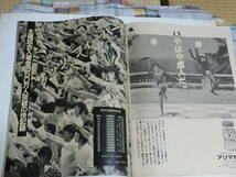 週刊サンケイ　　阪神タイガース優勝　21年ぶり完結編　臨時増刊　19８5年10月25日号_画像3