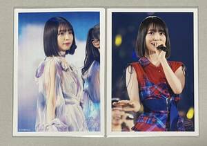 乃木坂46 阪口珠美 WEB SHOP限定 CHOOSE 5 PHOTOS! 生田絵梨花 卒業コンサート LIVE PHOTO Ver. 生写真 2種セット No.209 No.210