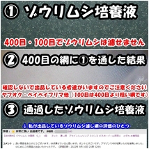 【送料込】ゾウリムシ 分離網(S_1) 1個　交換用網 3枚付 目開寸法0.015　 濾し網 ブラインシュリンプ ミジンコ メダカ用等にも 水槽用品_画像6