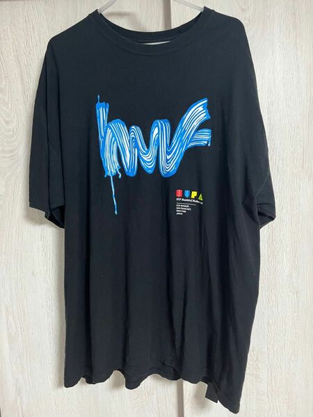 HUF t shirt 2L