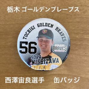 栃木ゴールデンブレーブス 西澤宙良選手 缶バッジ