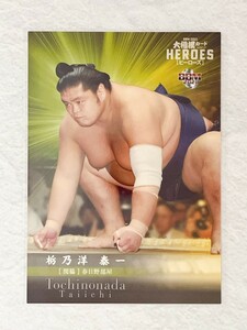 ☆ BBM2021 大相撲カード レジェンド HEROES レギュラーカード 関脇 32 栃乃洋泰一 ☆