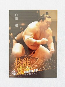 ☆ BBM 2021 大相撲カード 匠 レギュラーカード 技能賞 43 白鵬翔 ☆