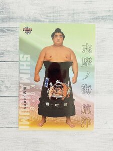 ☆ BBM 2021 大相撲カード 匠 レギュラーカード 16 志摩ノ海航洋 ☆