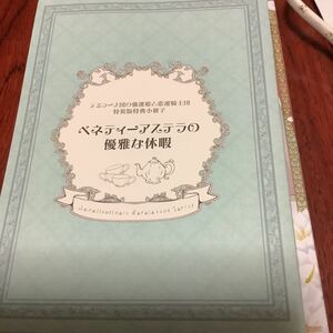 Switch◆テミラーナの強運姫と悲運騎士団 限定版特典　小冊子のみ　新品