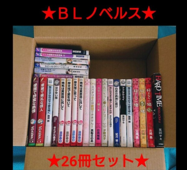 2冊重複→24冊【送料無料】ＢＬ小説◆新書&文庫◆人気作品まとめ売り　作家リストは、商品説明に記載しています！