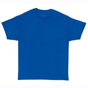 【L】CHAMPION チャンピオン 半袖Tシャツ T425 5.2オンス ブルー