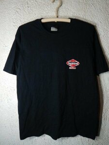 to6519　レア　HS　椎名へきる　ツアー　2000年　00ｓ　vintage　ビンテージ　半袖　tシャツ