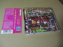 CD■　ヤー・ヤー・ヤーズ　/　Fever to Tell 帯付　　Yeah Yeah Yeahs 　_画像1