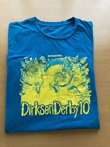 USA製 patagonia S/S TEE 半袖Tシャツ Lsize dirksen derby 10 パタゴニア