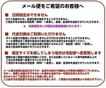 エキゾチカ エアフレッシュナー ウォーター メロン 5枚セット EXOTICA 芳香剤 車 部屋 吊り下げ ヤシの木 スイカ 【メール便 送料無料】_画像5