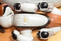 SONY アイボ ERS-1000 チョコエディション 限定モデル ごはんボウル・ボール・首輪付 レア aibo 犬型 ロボット ペット _画像4