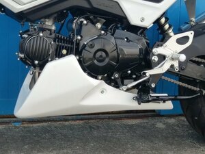 MV AGUSTA ステップバー③。 F4 F3 BRUTALE DRAGSTER 1090 1000RR 990R 910S 800RR 750S 675 500 350 250 125 ＭＶアグスタ