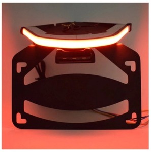 **[54%OFF!!]BMW S1000RR 2019 2020 tail lamp brake lamp turn signal number plate holder frame lens LED**