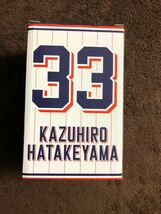 ボブルヘッド バブルヘッド 東京ヤクルトスワローズ Tokyo Yakult Swallows 畠山 和洋 はたけやまかずひろ KAZUHIRO HATAKEYAMA フィギュア_画像6