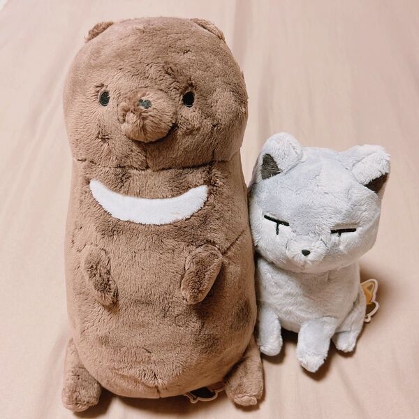 タヌキとキツネ オオカミ クマ ぬいぐるみ セット